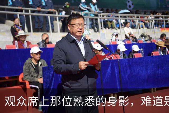 观众席上那位熟悉的身影，难道是锡伯杜回来了？